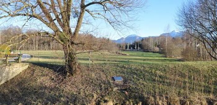 Keltischer Bohlenweg