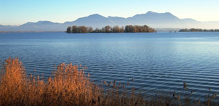 Ursprung unserer Demokratie