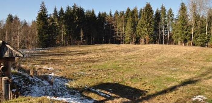 Keltische Viereckschanze