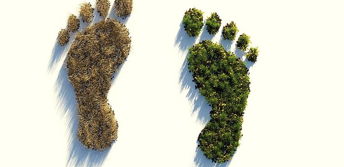 Klimafreundlich Leben